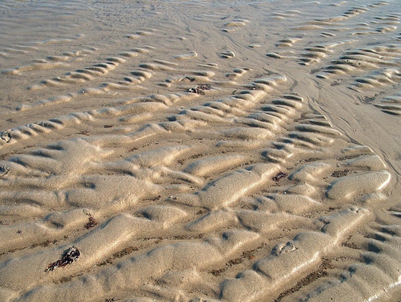 Arabian Desert